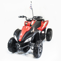 Детский спортивный электроквадроцикл Dongma ATV Red Brushless 12V - DMD-278A