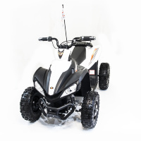 Детский спортивный электроквадроцикл Dongma ATV White Brushless 12V - DMD-278A-W